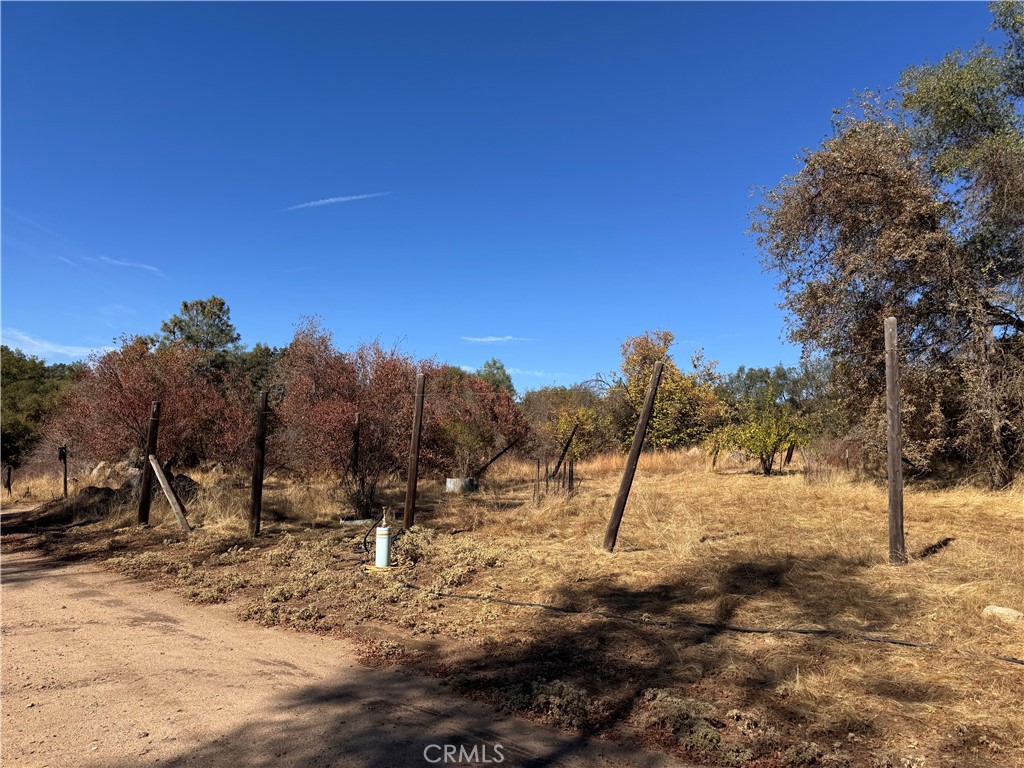 4582 Ashworth Road Mariposa, CA 95338 - Photo 4 of 10 a view of outdoor space with trees in the background