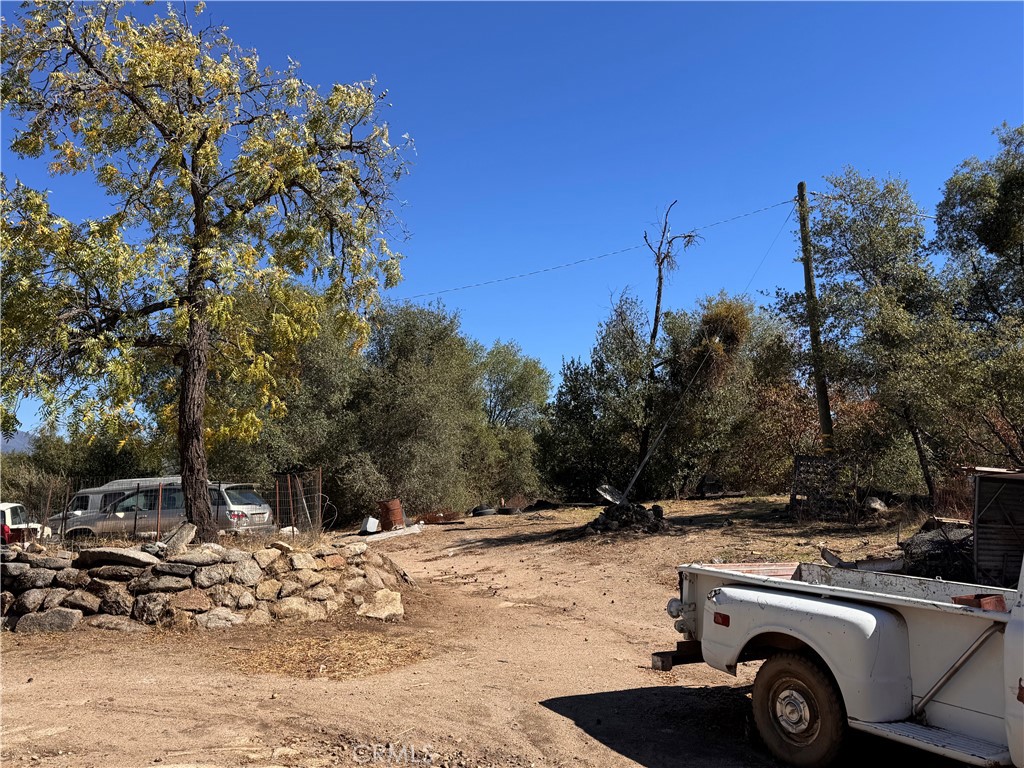 4582 Ashworth Road Mariposa, CA 95338 - Photo 8 of 10 a view of a yard with a tree