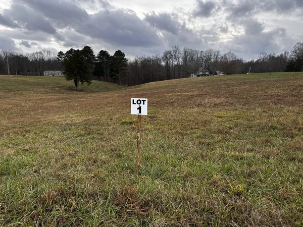 a view of a field
