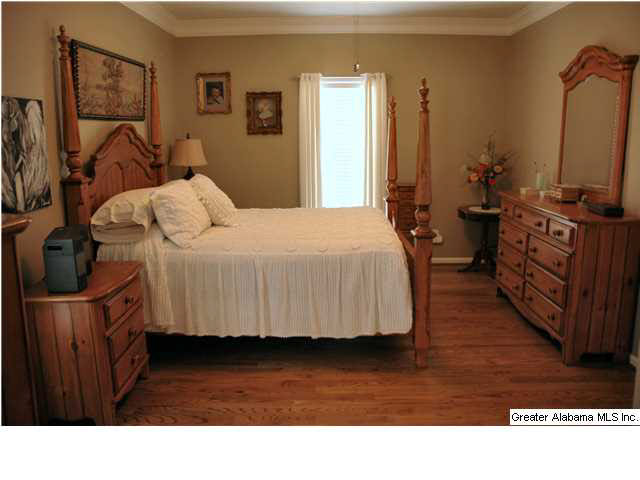 155 Peaceful Lane Springville, AL 35146 - Photo 10 of 27