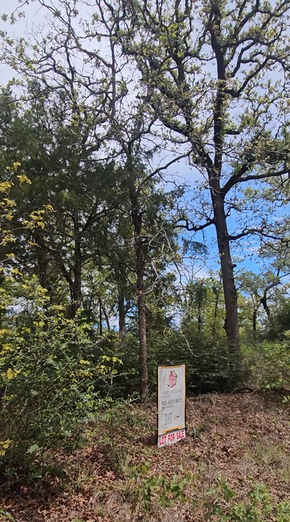 The property features mature trees and natural vegetation