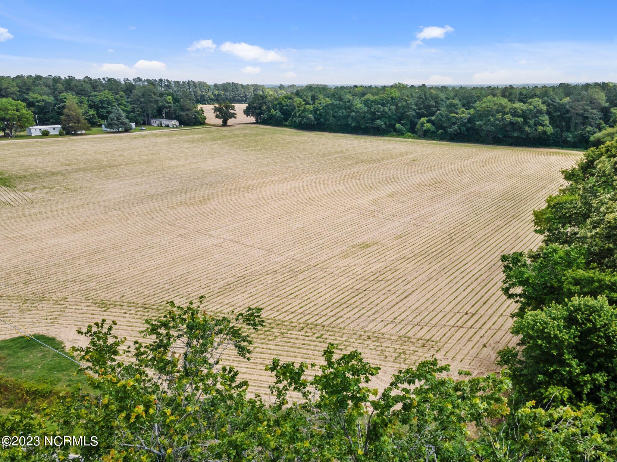 Tract #3 Pace Road Bailey, NC 27807 - Photo 6 of 10 10-web-or-mls-DJI_0010