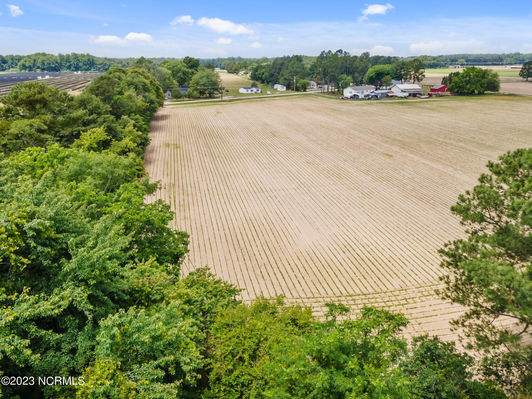 Tract #3 Pace Road Bailey, NC 27807 - Photo 8 of 10 9-web-or-mls-DJI_0009