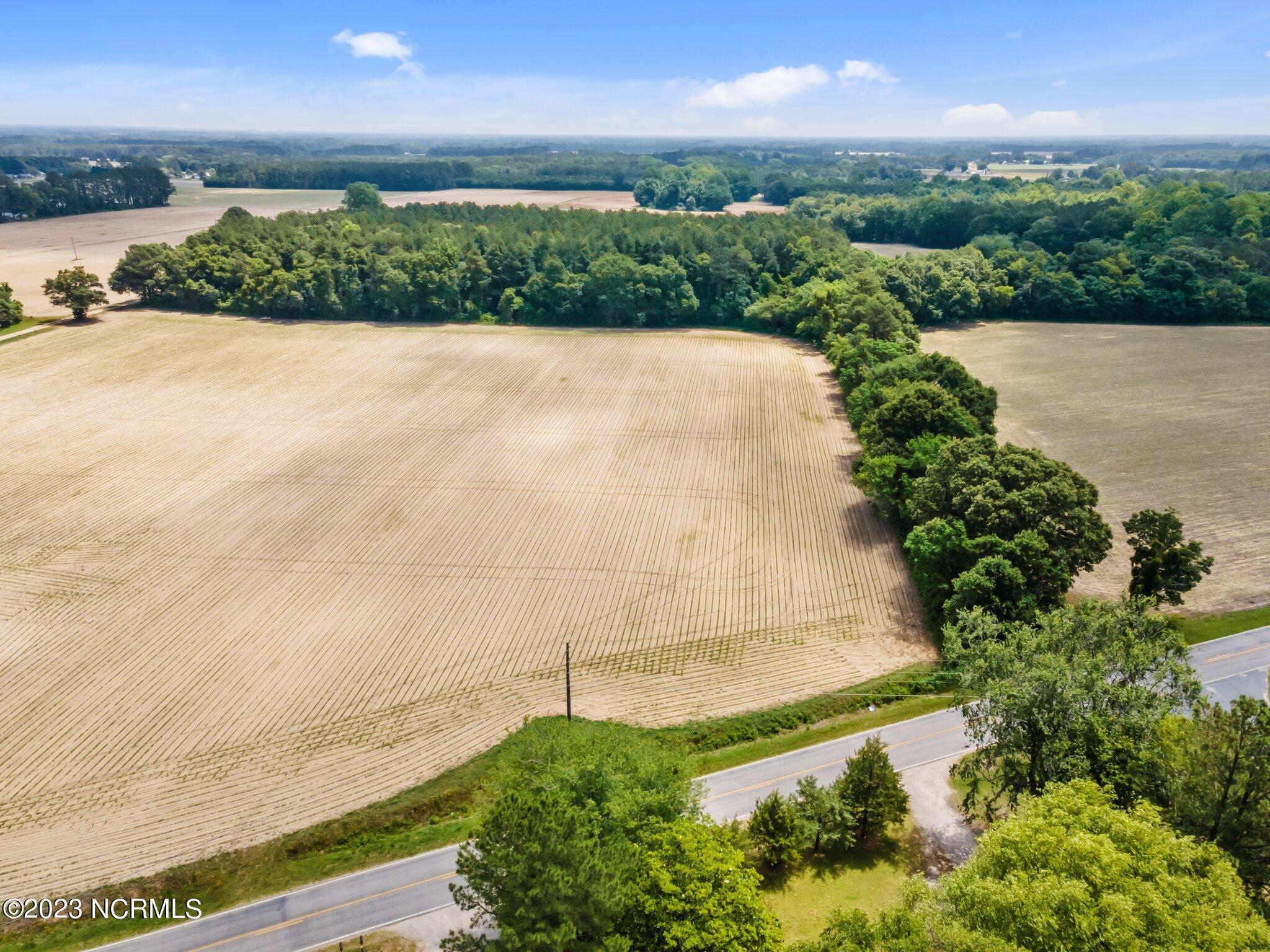 Tract #3 Pace Road Bailey, NC 27807 - Photo 9 of 10 1-web-or-mls-DJI_0001
