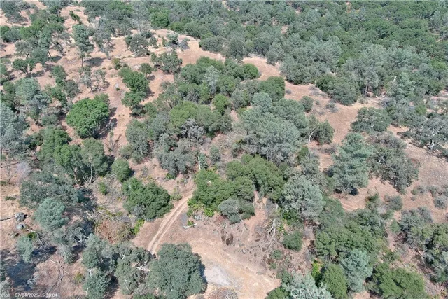 a view of a city with lush green forest