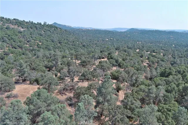 a view of a covered with trees