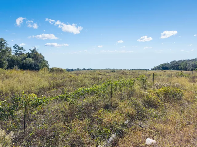 a view of lake and mountain