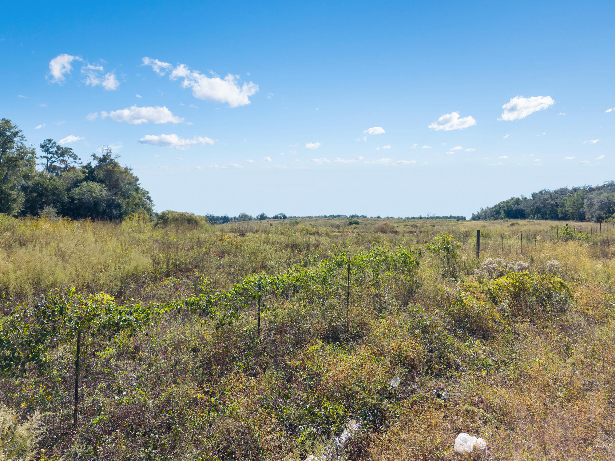 0 Hatcher Cemetery Road Freeport, FL 32439 - Photo 6 of 16 a view of lake and mountain