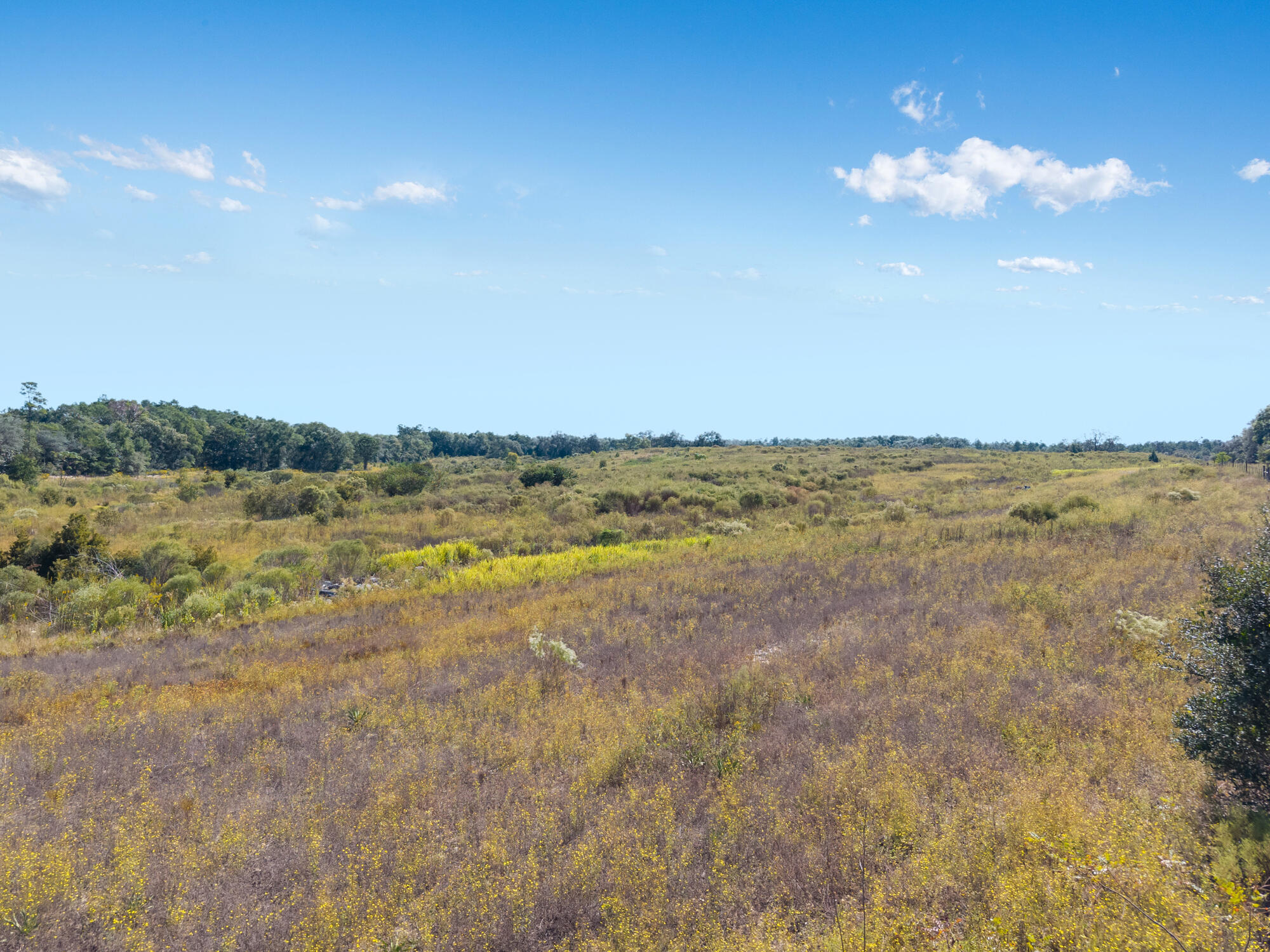 0 Hatcher Cemetery Road Freeport, FL 32439 - Photo 7 of 16 a view of an ocean and beach