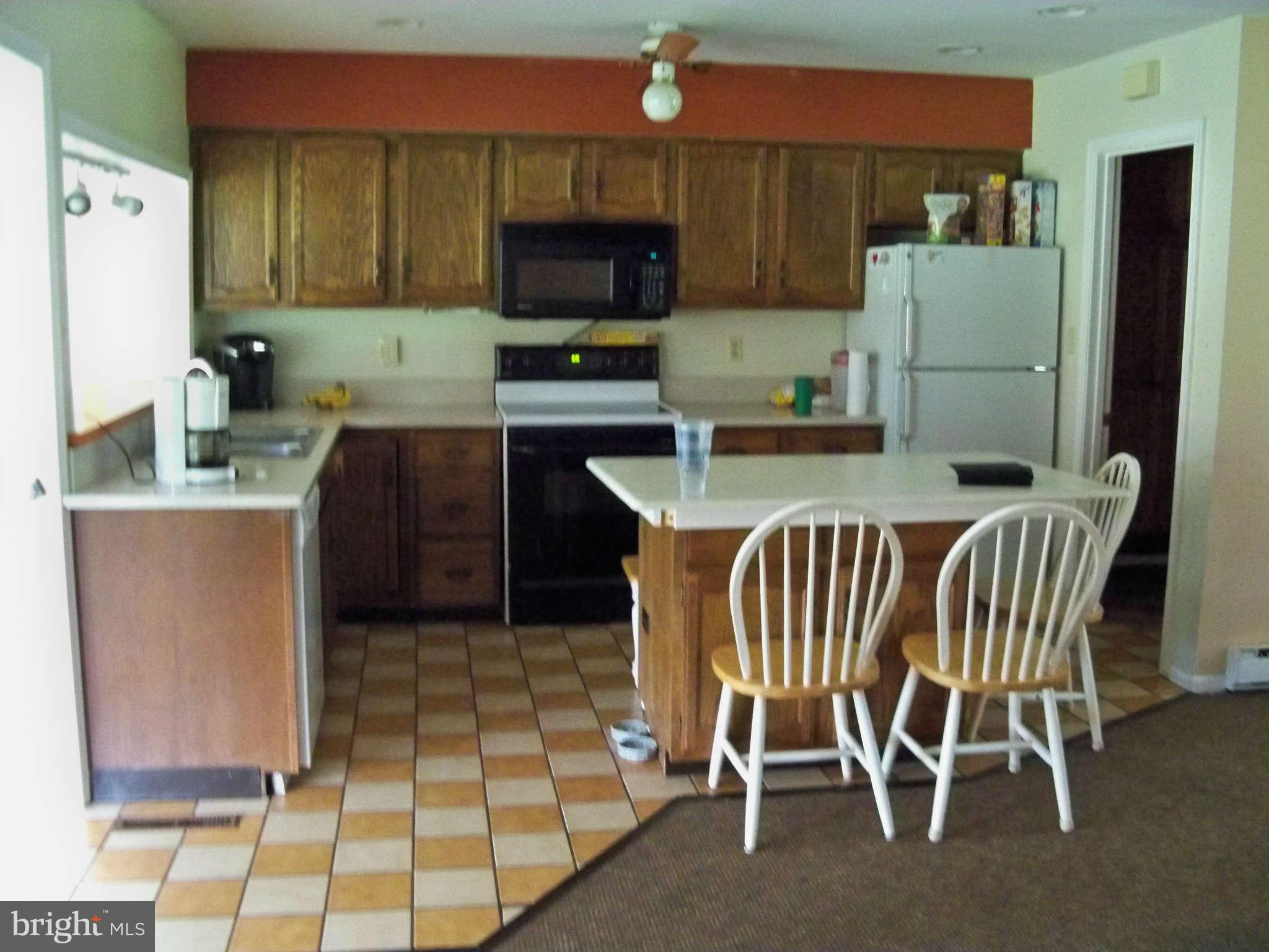 250 Spears Hill Road Elkton, MD 21921 - Photo 7 of 17 Kitchen