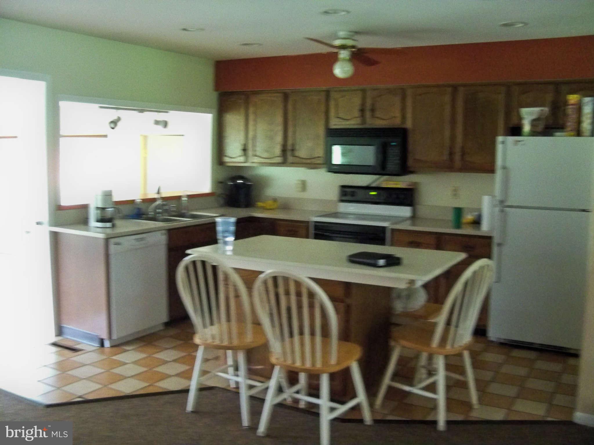 250 Spears Hill Road Elkton, MD 21921 - Photo 8 of 17 Kitchen