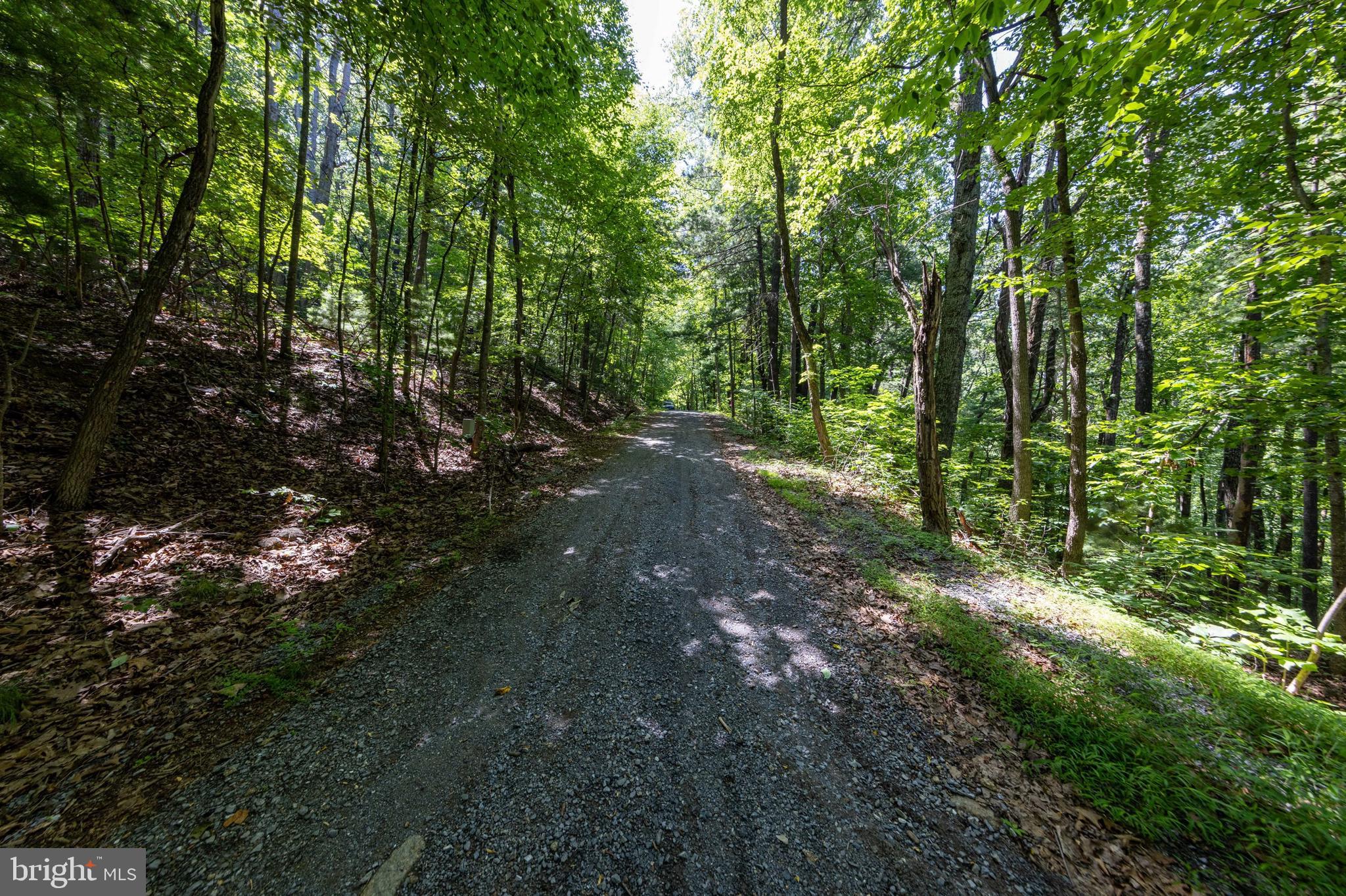 0 Helms Road Stanley, VA 22851 - Photo 33 of 50