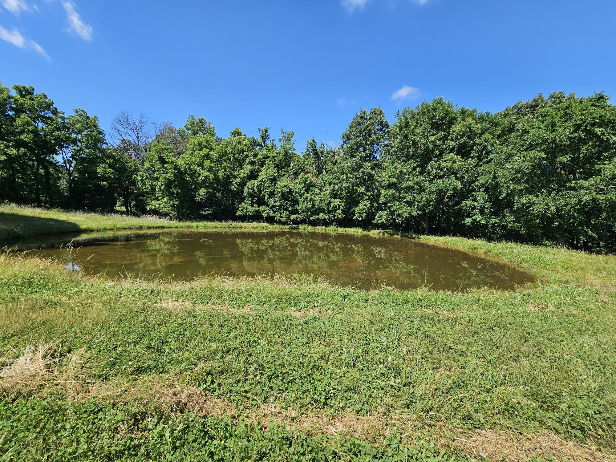 5383 Cowan Ridge Road Powell, MO 65730 - Photo 3 of 32 cowin ridge pic land 1