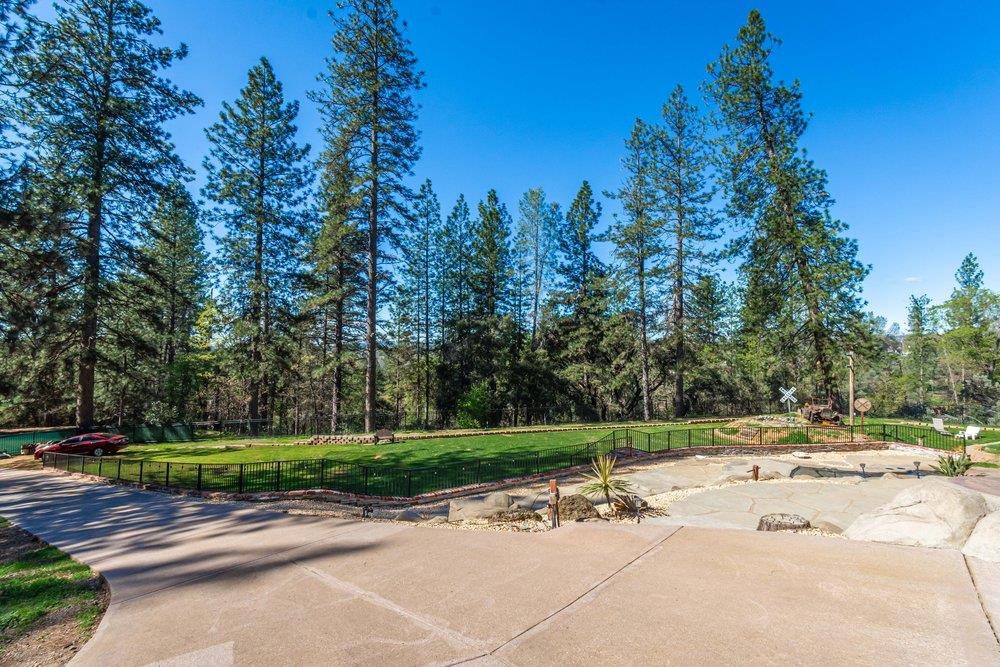23870 Tokayana Way Colfax, CA 95713 - Photo 22 of 93