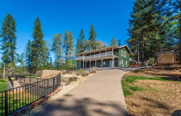 a view of a backyard with plants
