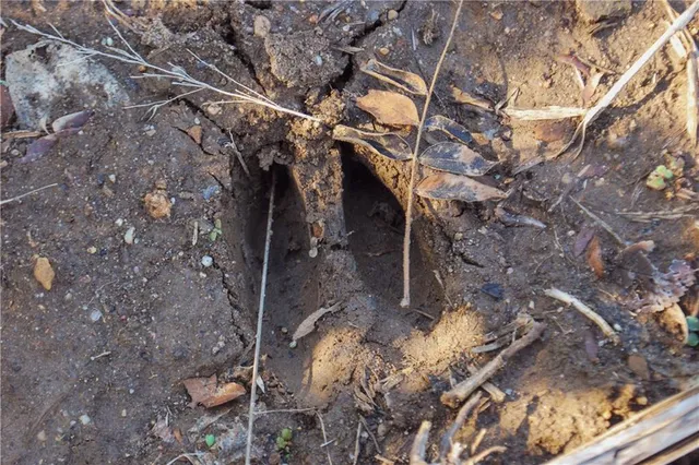 $658,800 | 0 174th Street, Valley Falls, KS 66088