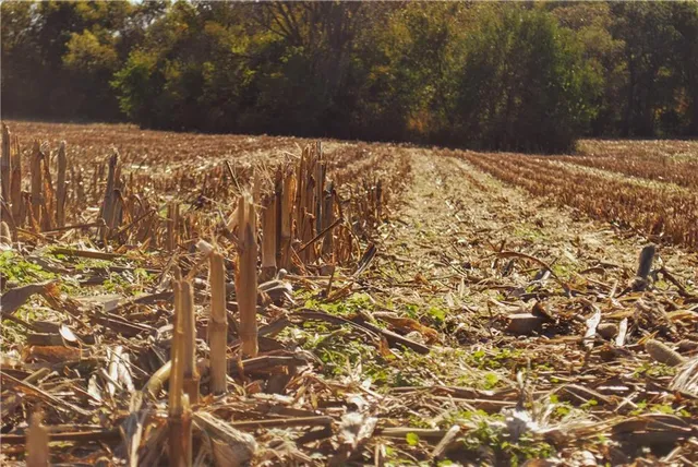 $658,800 | 0 174th Street, Valley Falls, KS 66088