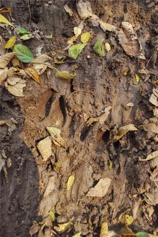 $658,800 | 0 174th Street, Valley Falls, KS 66088