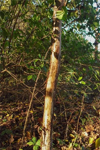 $658,800 | 0 174th Street, Valley Falls, KS 66088