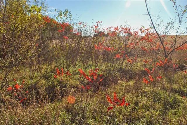 $658,800 | 0 174th Street, Valley Falls, KS 66088