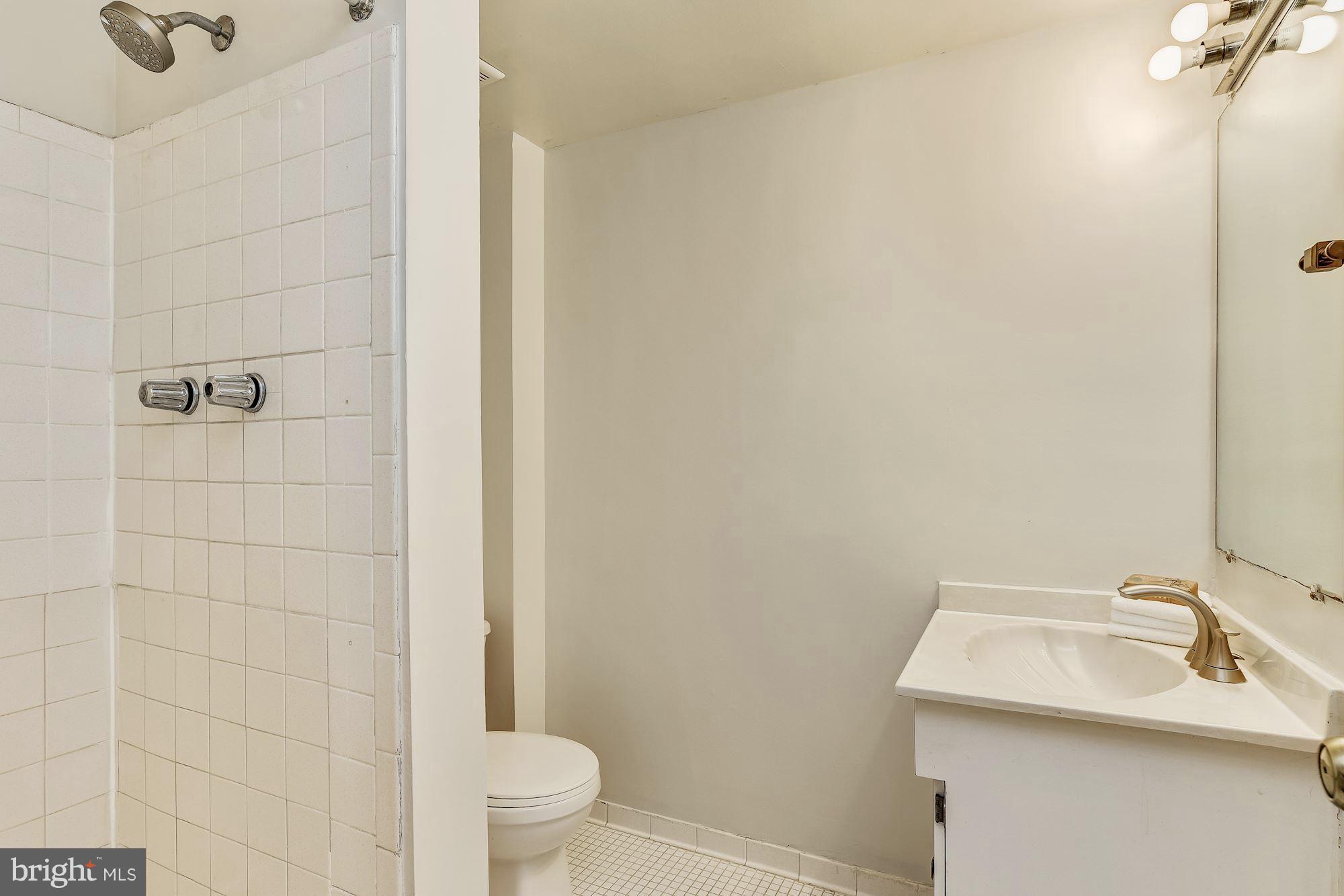 3804 Tremayne Terrace Silver Spring, MD 20906 - Photo 17 of 21 Lower Level Bath
