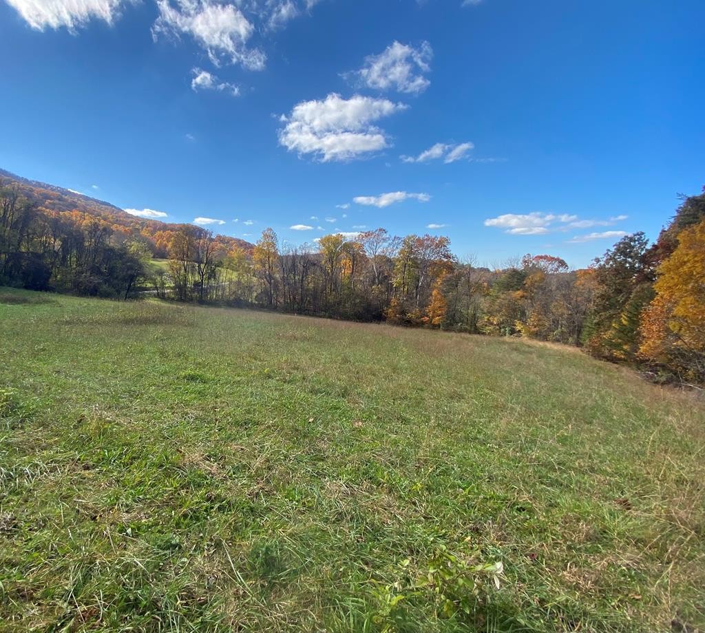 34 Thomas Cross Road Sevierville, TN 37876 - Photo 2 of 6