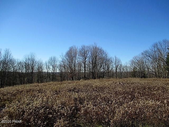 5 Avoy Heights Road Lake Ariel, PA 18436 - Photo 10 of 13 8