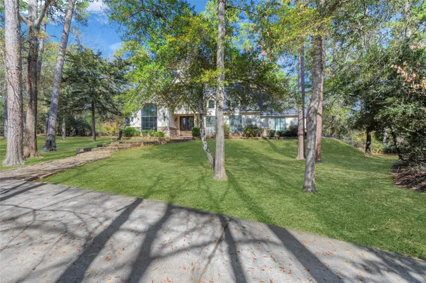 a view of a park with large trees