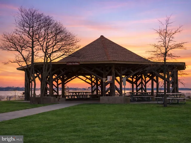 a view of park with large trees