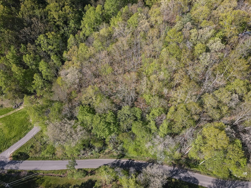 111 Hatcher Mountain Road Sevierville, TN 37862 - Photo 2 of 7