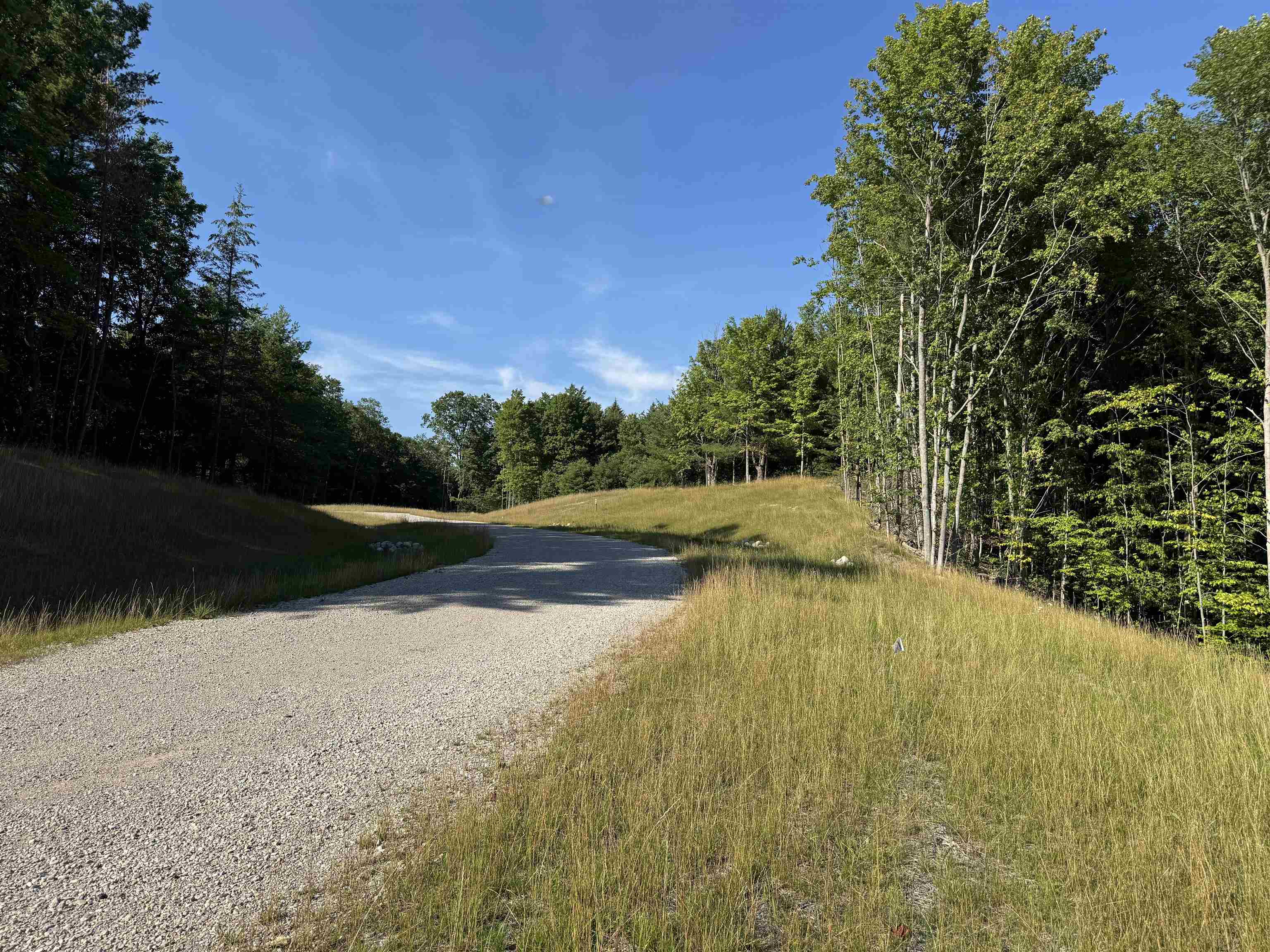 Lot #6 East Bellinger Road Cedar, MI 49621 - Photo 7 of 38 1948121-4defb346-0f78-4ba0-9c64-c262d218db15.JPG