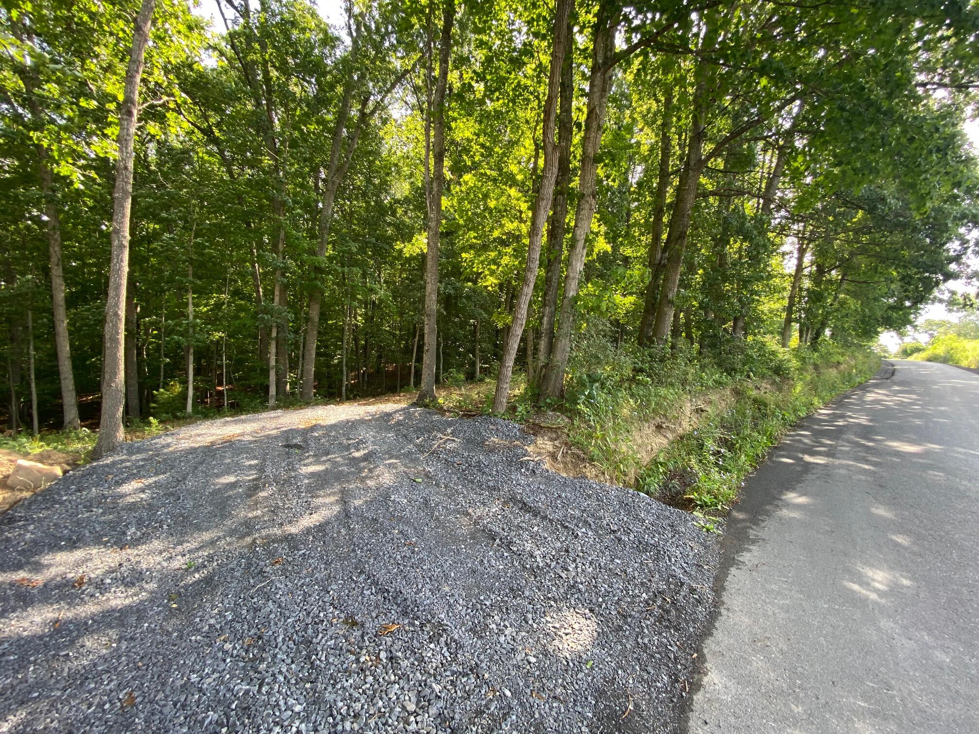 Coleman Cliff Road Frankford, WV 24938 - Photo 5 of 49 Gallery Image 5