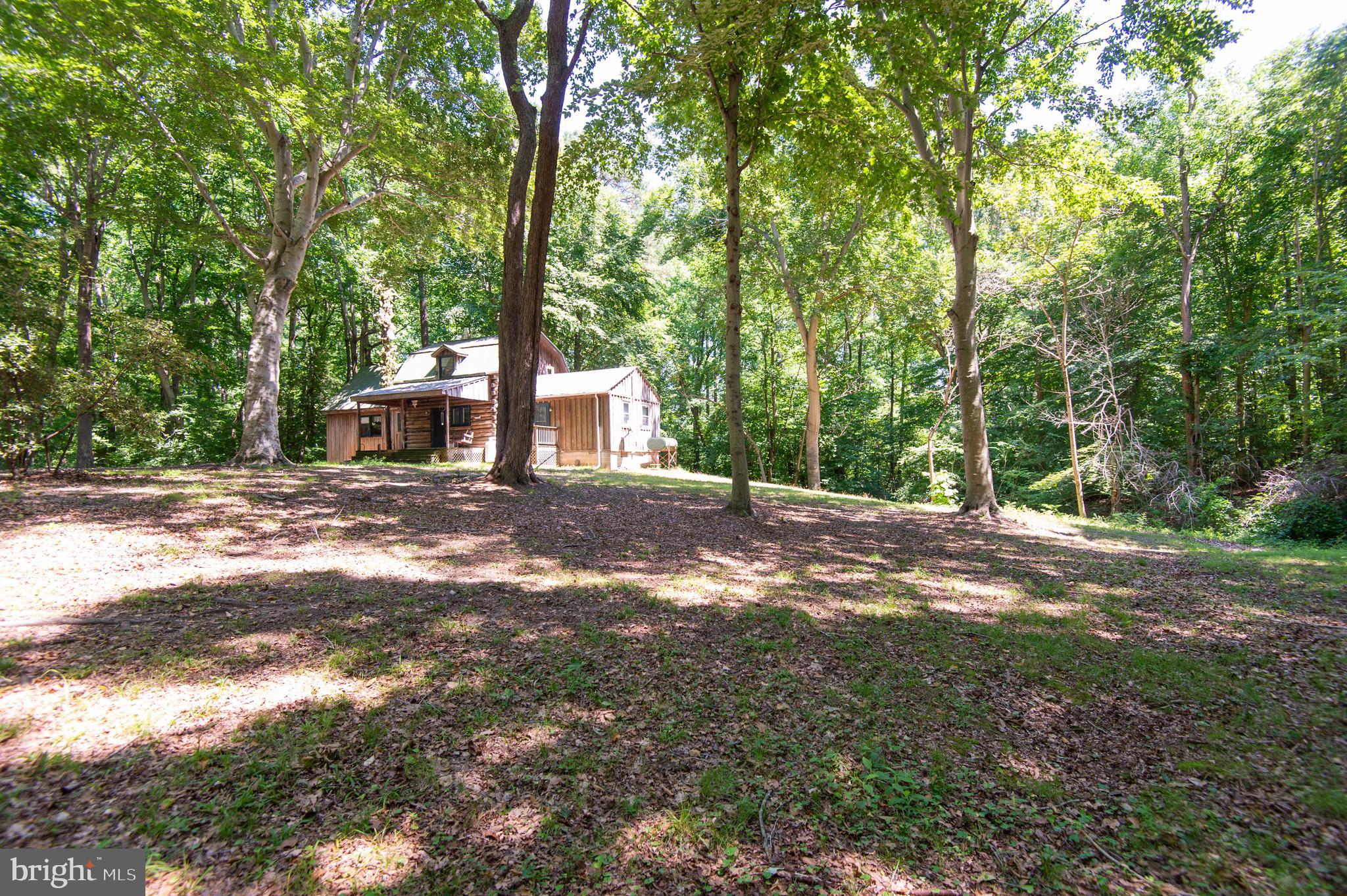 21370 Skeleton Creek Road Preston, MD 21655 - Photo 44 of 47 a view of a house with backyard and trees