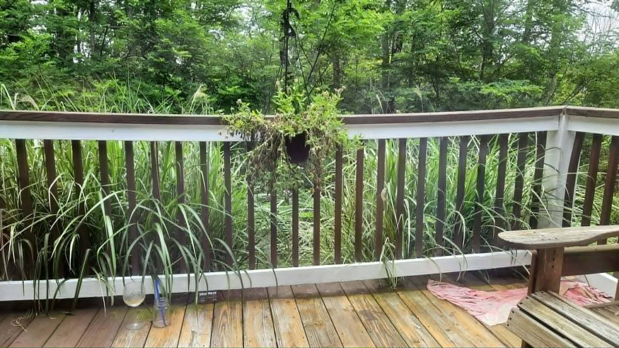 6243 Cass Road Slatyfork, WV 26209 - Photo 17 of 33 Gallery Image 17