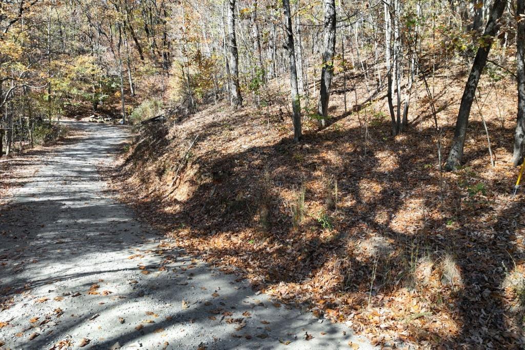 Lot 34 Wauka Ridge Road Cleveland, GA 30528 - Photo 3 of 14