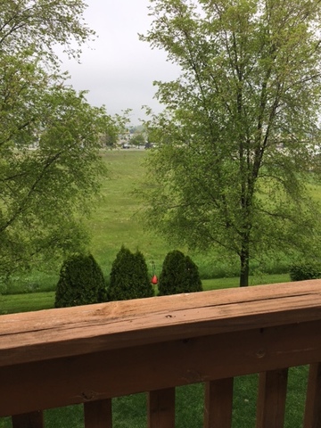 973 Constance Lane, Unit D Sycamore, IL 60178 - Photo 19 of 20