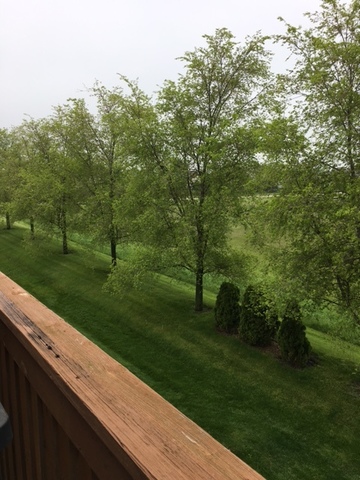 973 Constance Lane, Unit D Sycamore, IL 60178 - Photo 20 of 20