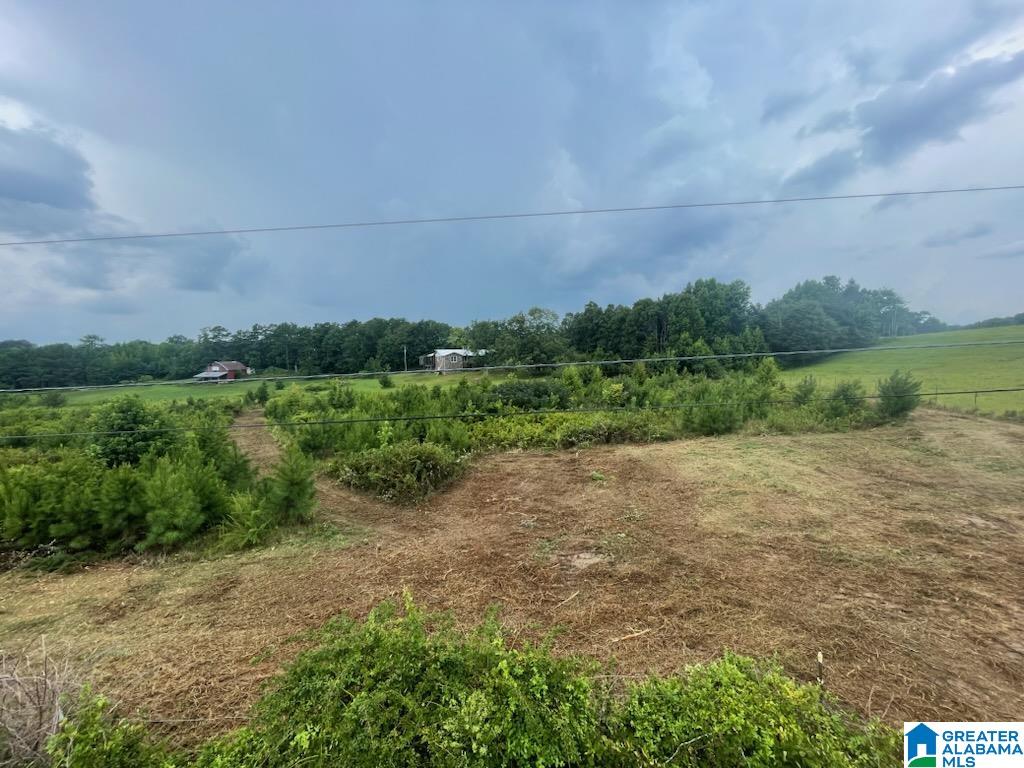 0 Landreth Road, Unit 9 5 / ACRES Oneonta, AL 35121 - Photo 2 of 6