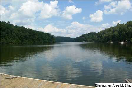 92 River Point Road Lineville, AL 36266 - Photo 7 of 7