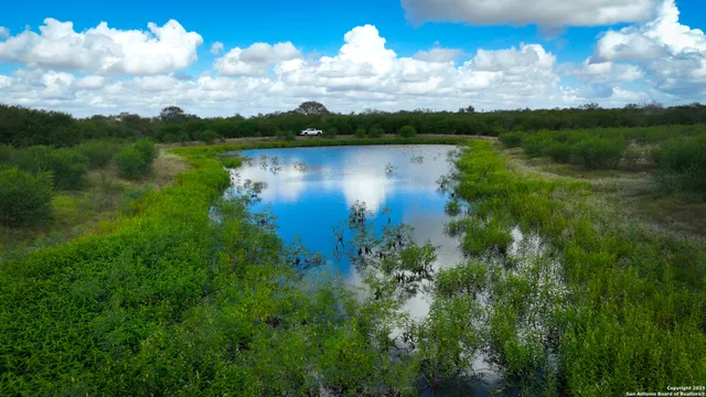 a view of a lake in middle of the forest