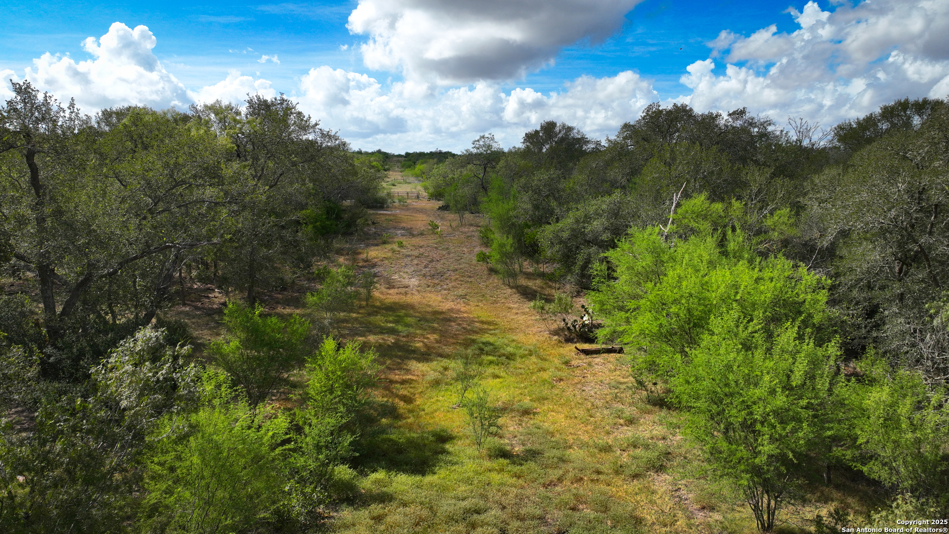 0 Tx 97 Gonzales, TX 78629 - Photo 18 of 37 a view of a big yard with lots of palm trees