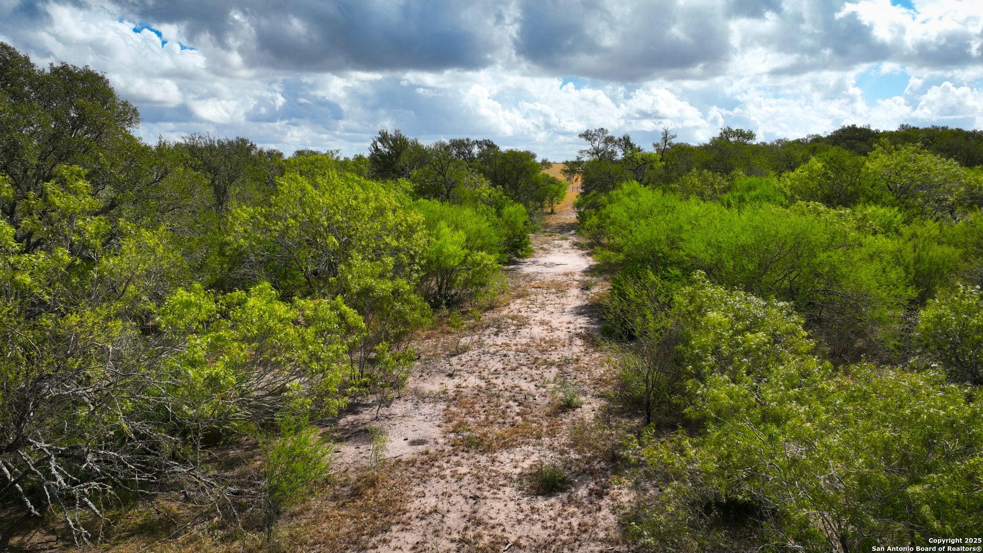 0 Tx 97 Gonzales, TX 78629 - Photo 19 of 37 a view of a bunch of trees and cars