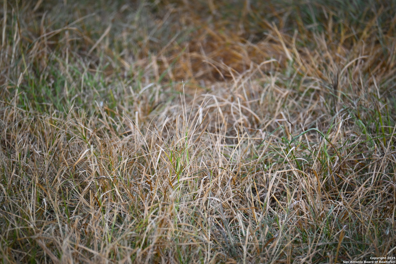0 Tx 97 Gonzales, TX 78629 - Photo 27 of 37 unknown