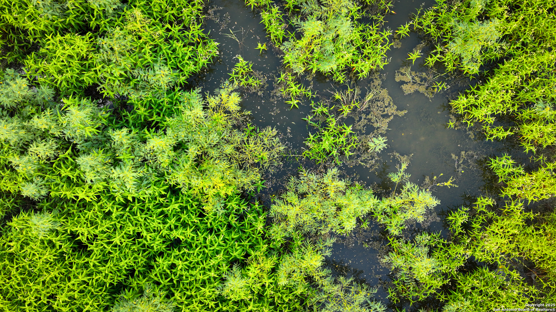 0 Tx 97 Gonzales, TX 78629 - Photo 10 of 37 a backyard of a house with lots of green space