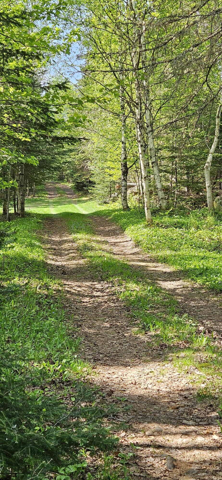 1112 East B Hill Road Upton, ME 04261 - Photo 38 of 39 Gravel driveway leading to camp