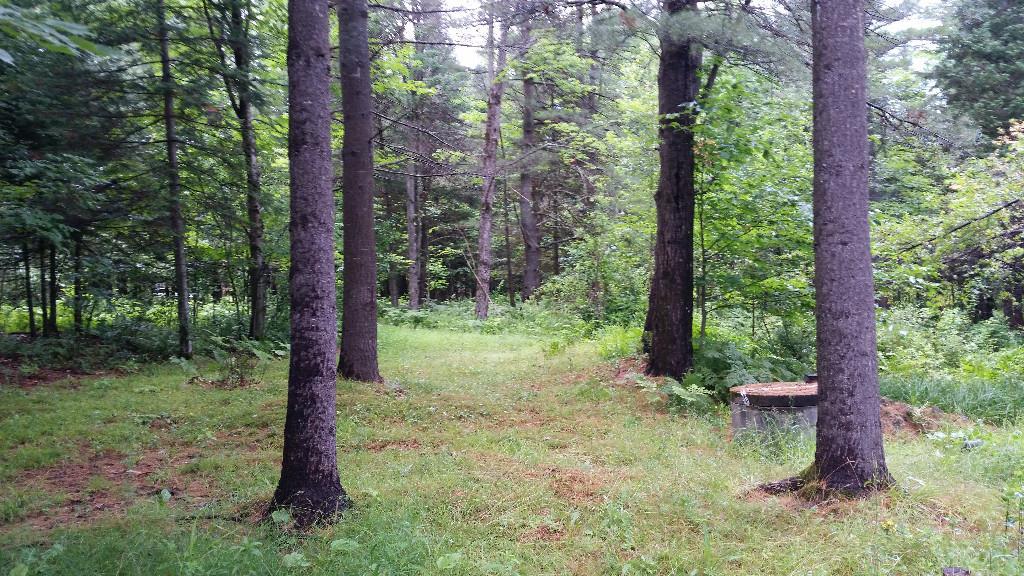 75 Campground Road North Anson, ME 04958 - Photo 20 of 31 Property is beautifully wooded.