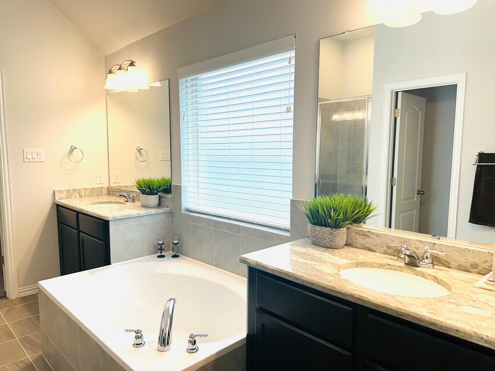 862 Leadtree Loop Buda, TX 78610 - Photo 25 of 40 a bathroom with a granite countertop sink and a mirror