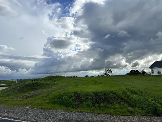 a view of a big yard with lots of green space