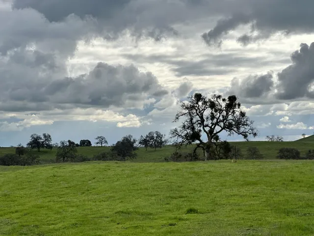 $89,000 | 2090 Mohawk Court, Ione, CA 95640