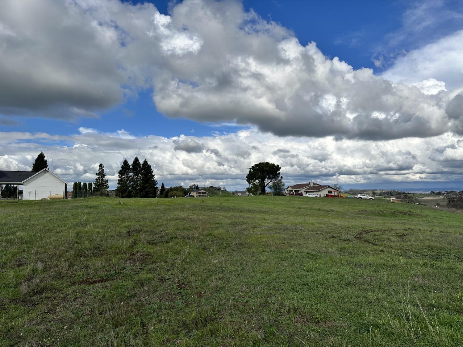 2090 Mohawk Court Ione, CA 95640 - Photo 4 of 15 a view of an outdoor space and yard